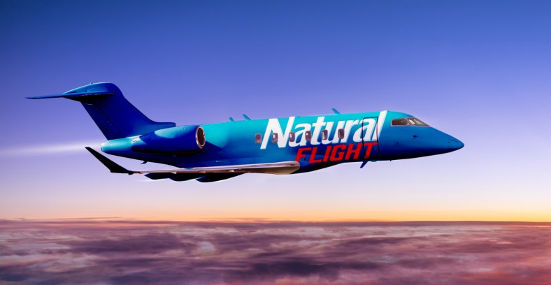 natural-flight-natty-light