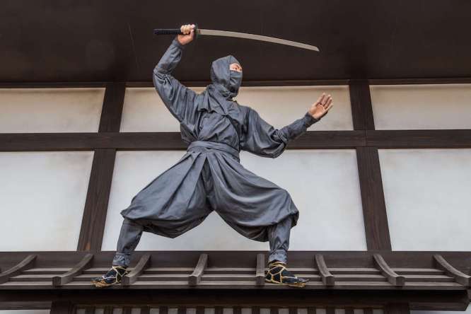 ninja-town-main