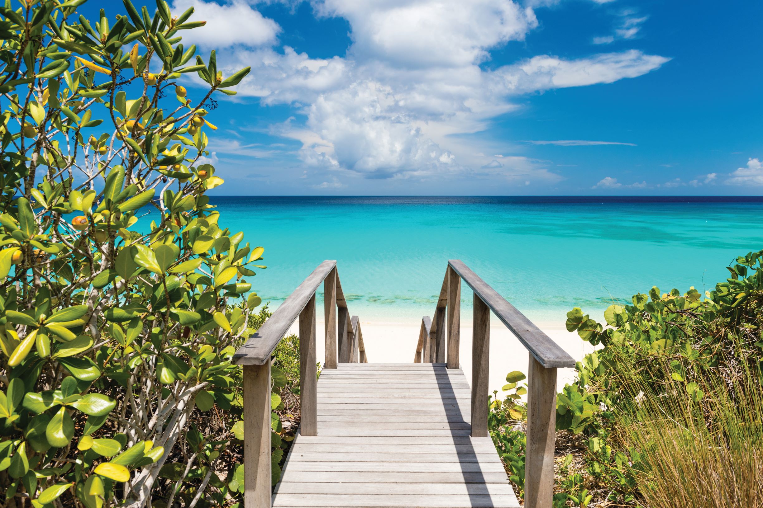 Pathway to the Beach_Original_7647