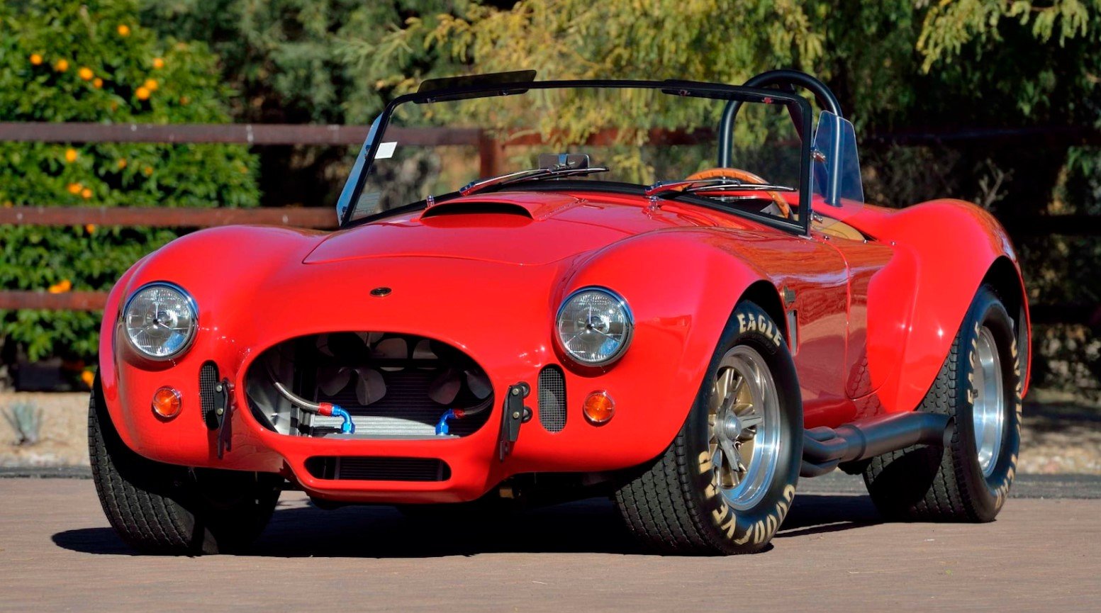 Paul Walker 1965 Shelby 427 Cobra Promo (2)