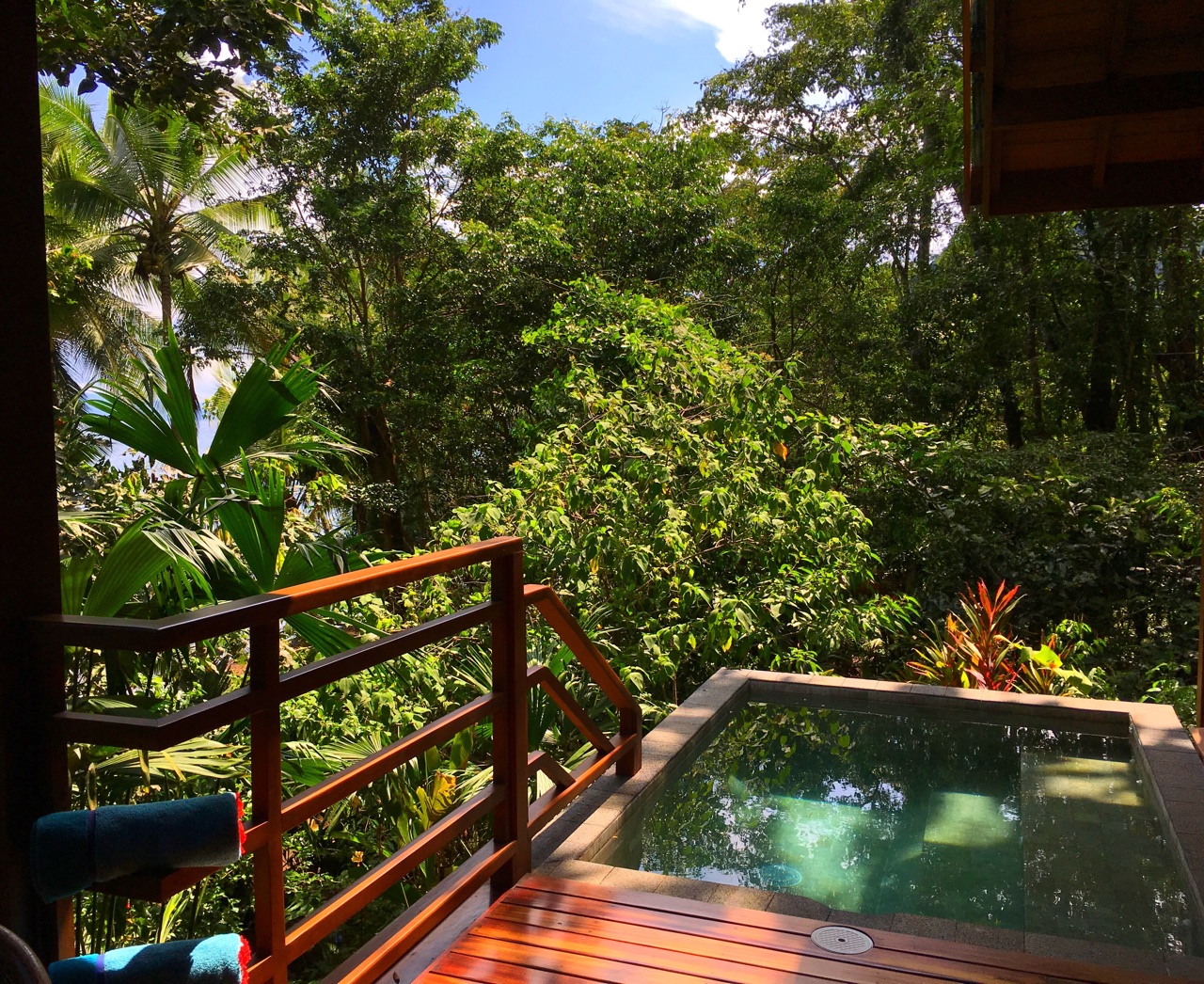 Playa Cativo Lodge Costa Rica (9)