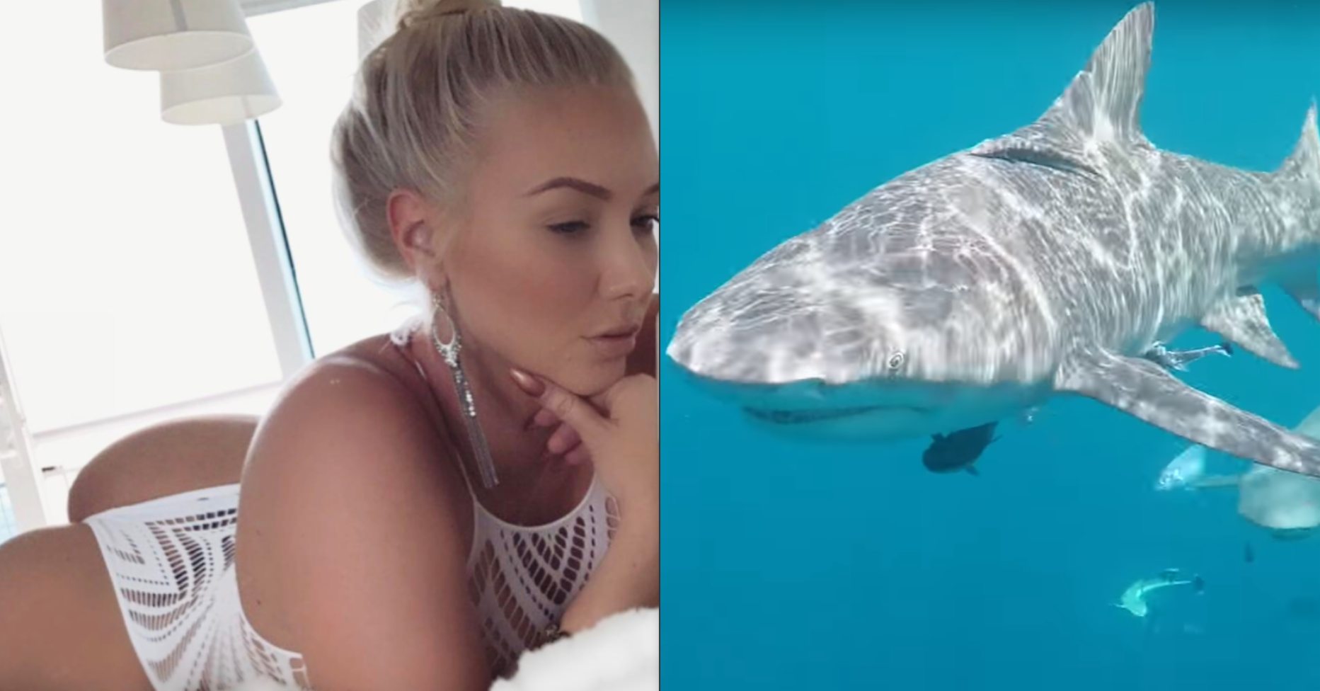 Watch the Harrowing Moment This Porn Star Was Bitten By a Shark During  Underwater Stunt - Maxim