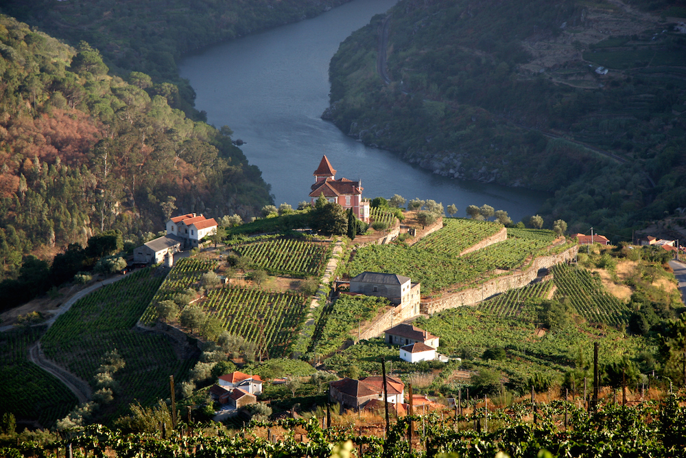 port-wine-portugal