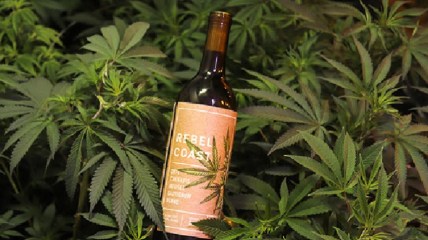 Rebel Coast Cannabis-infused Wine