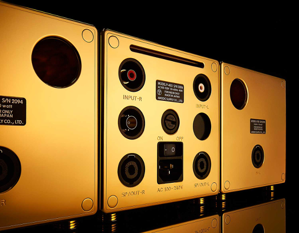 River's Tone gold Premium Speaker System - rear.jpg Fairly simple inputs and outputs on the back