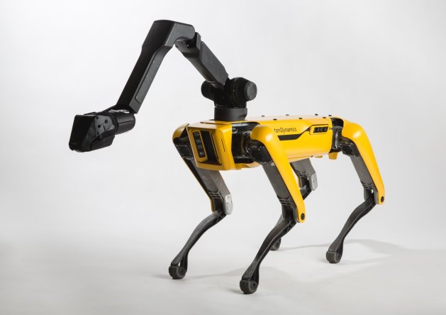 Robot Dog  (3)