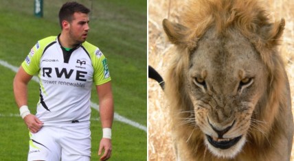 Scott Baldwin vs. Lion