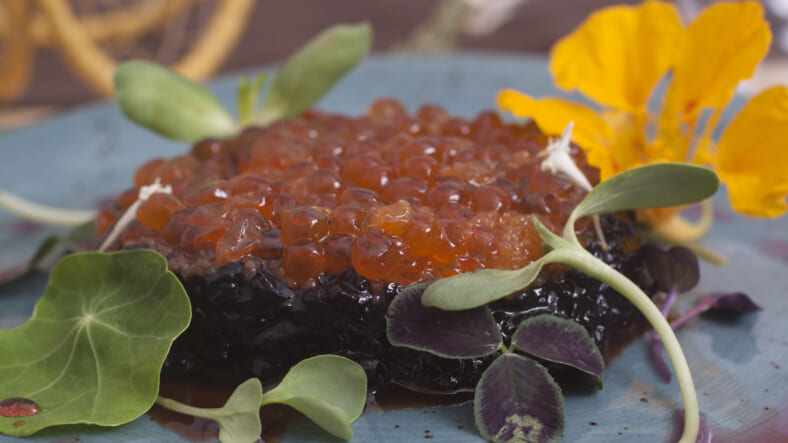 Seal_Tartar_3