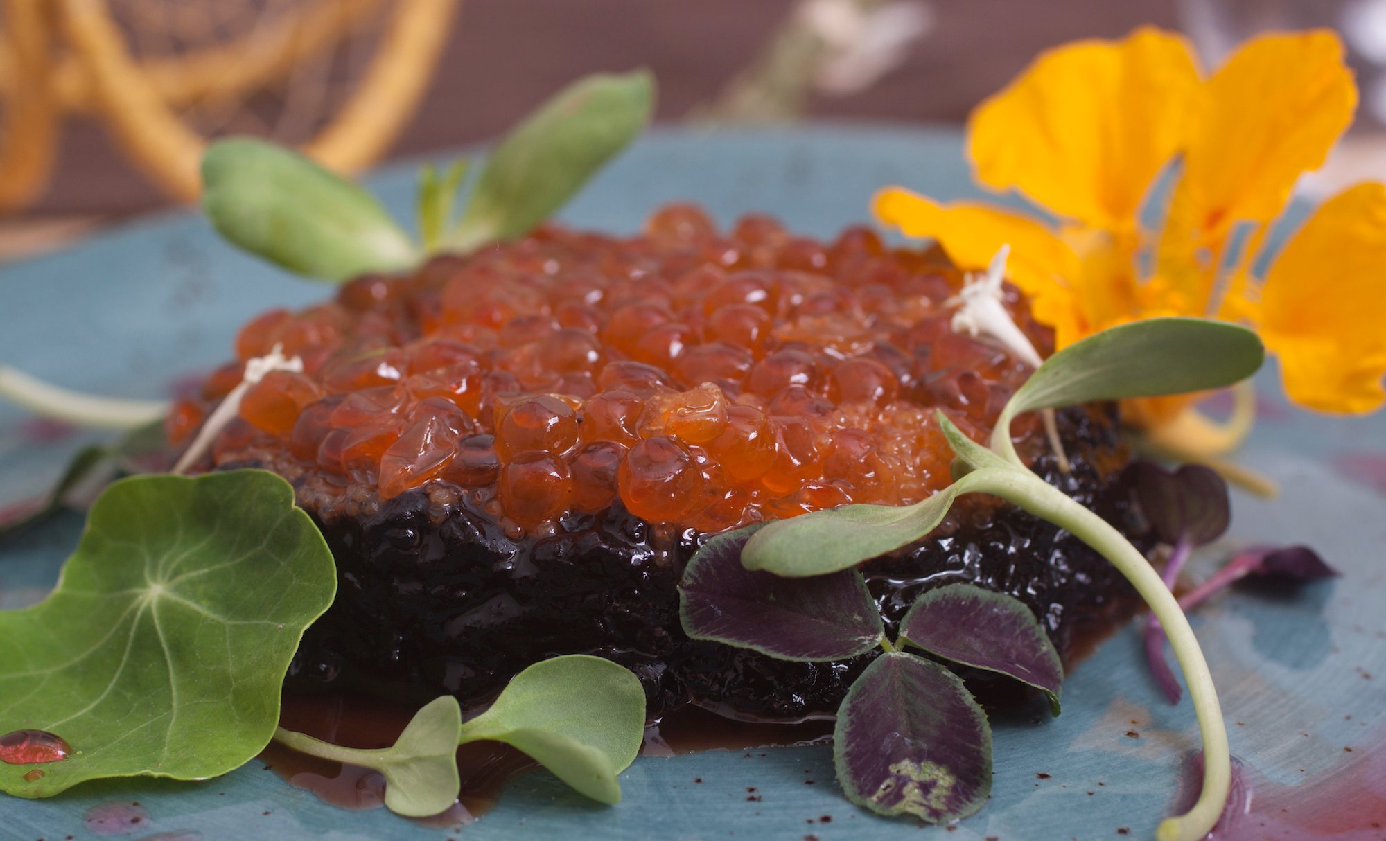 Seal_Tartar_3