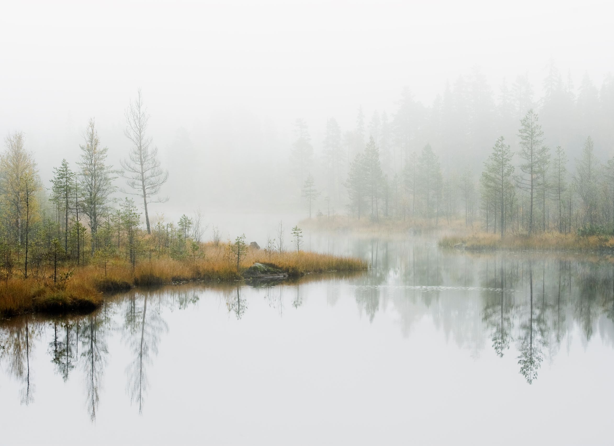 Sweden