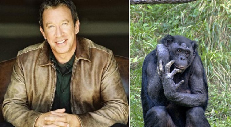 Tim Allen and a chimp