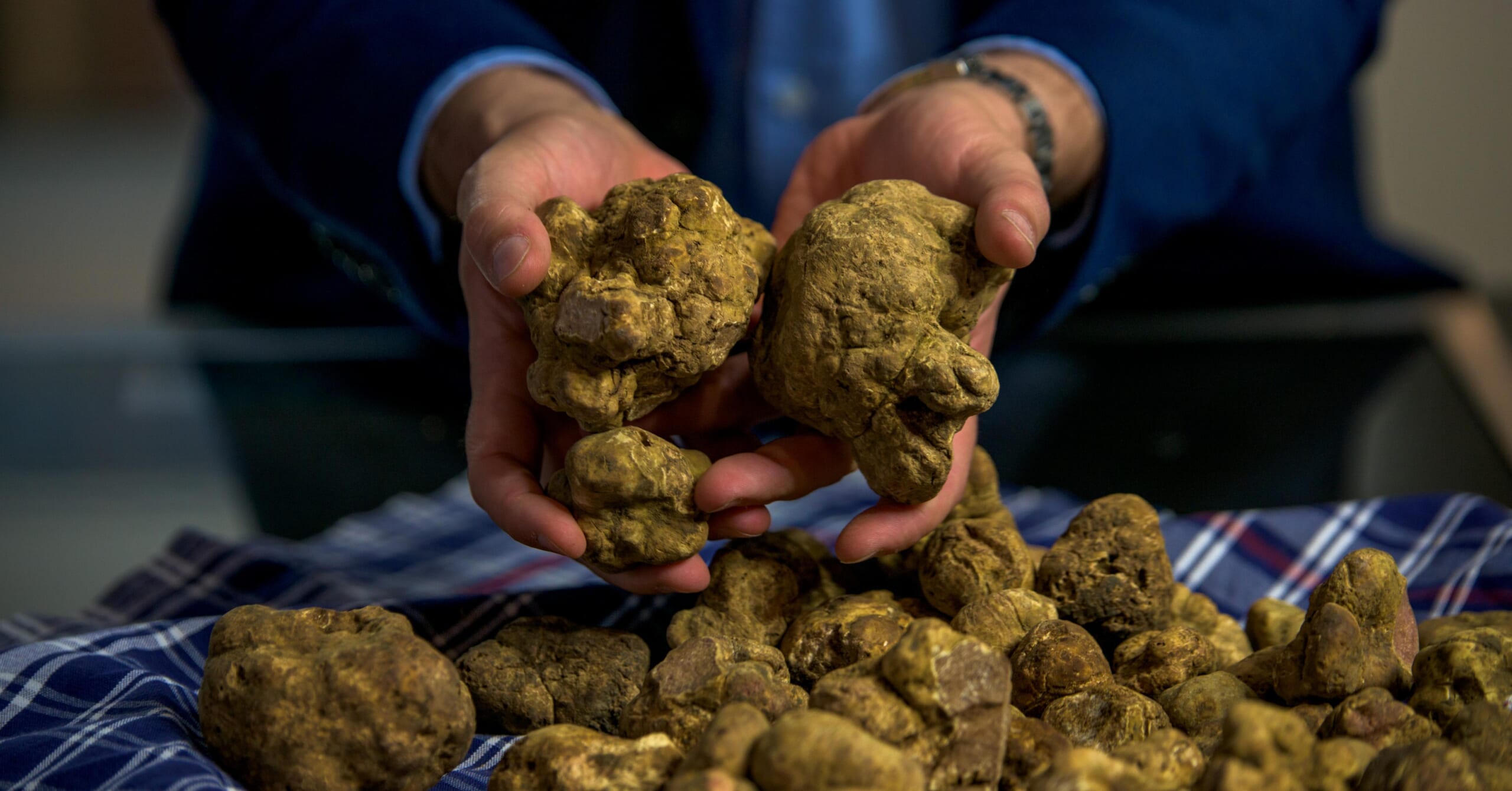 Truffles Promo