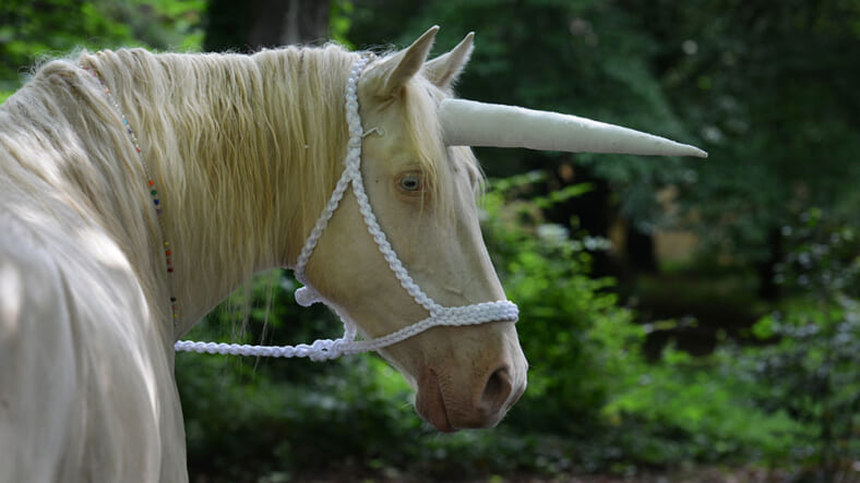Unicorn' Leads California Authorities On Strange And Magical Journey - Maxim