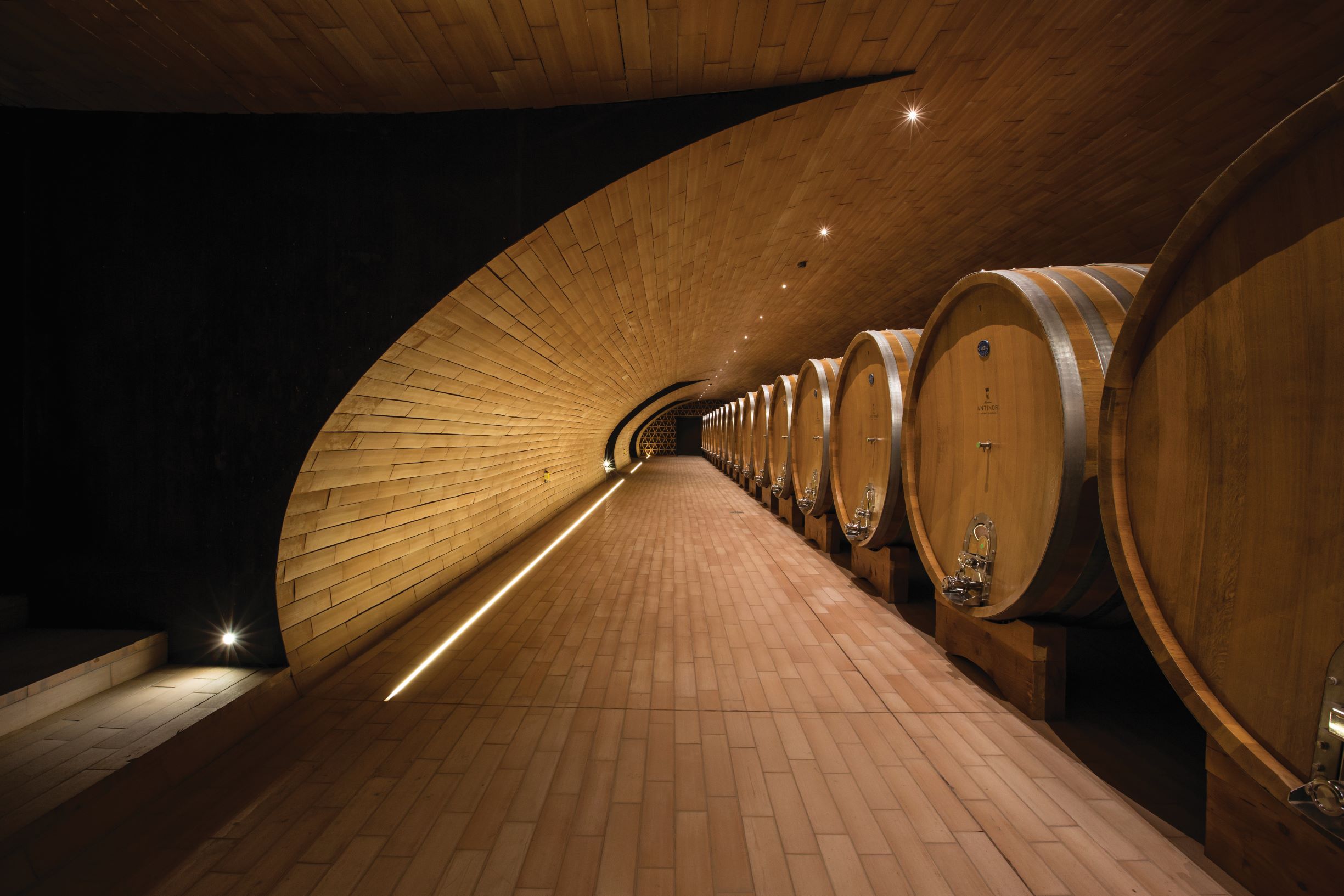 Vineyards (4)