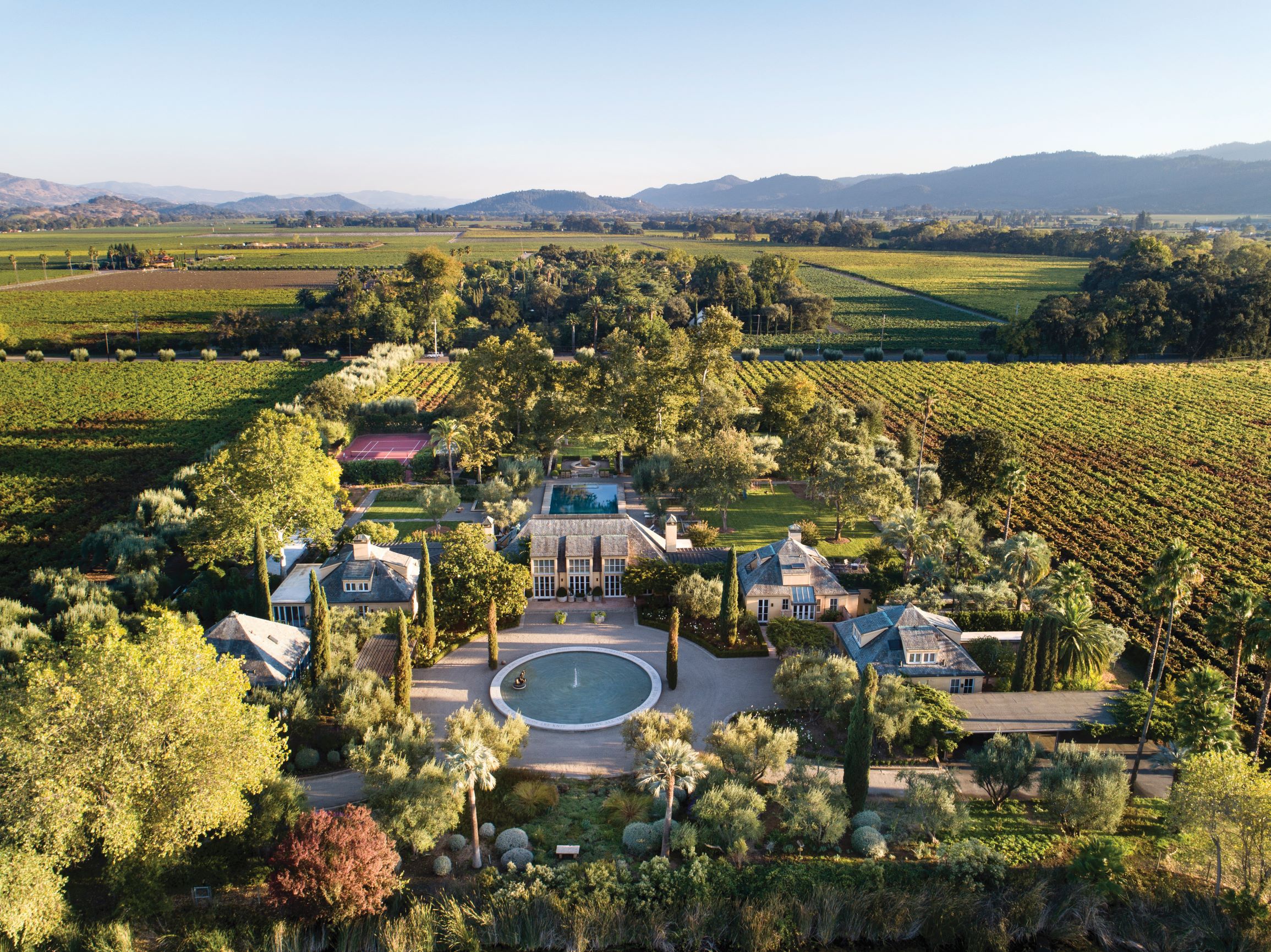 Vineyards (5)