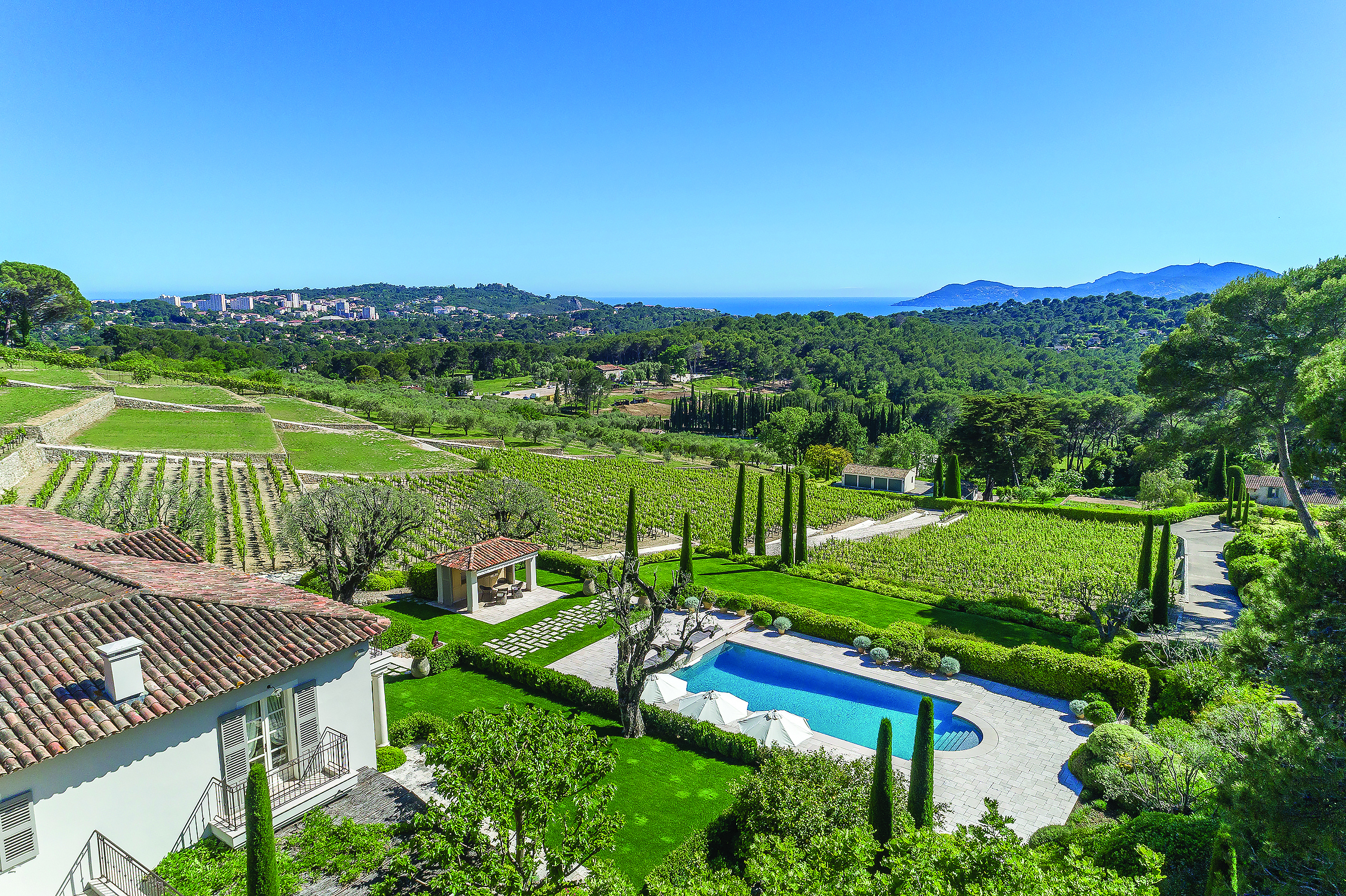 Vineyards (6)