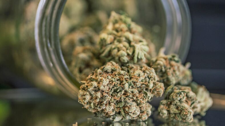 Weed Promo