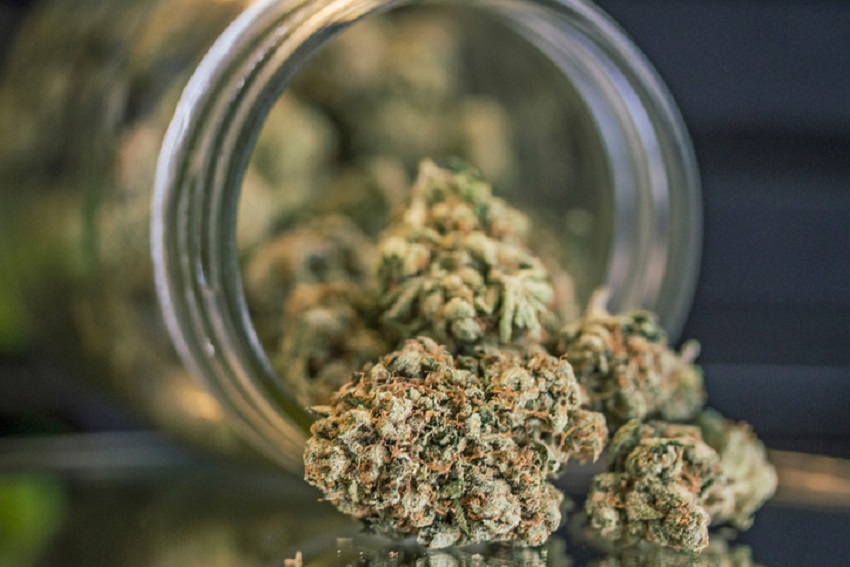 Weed Getty images