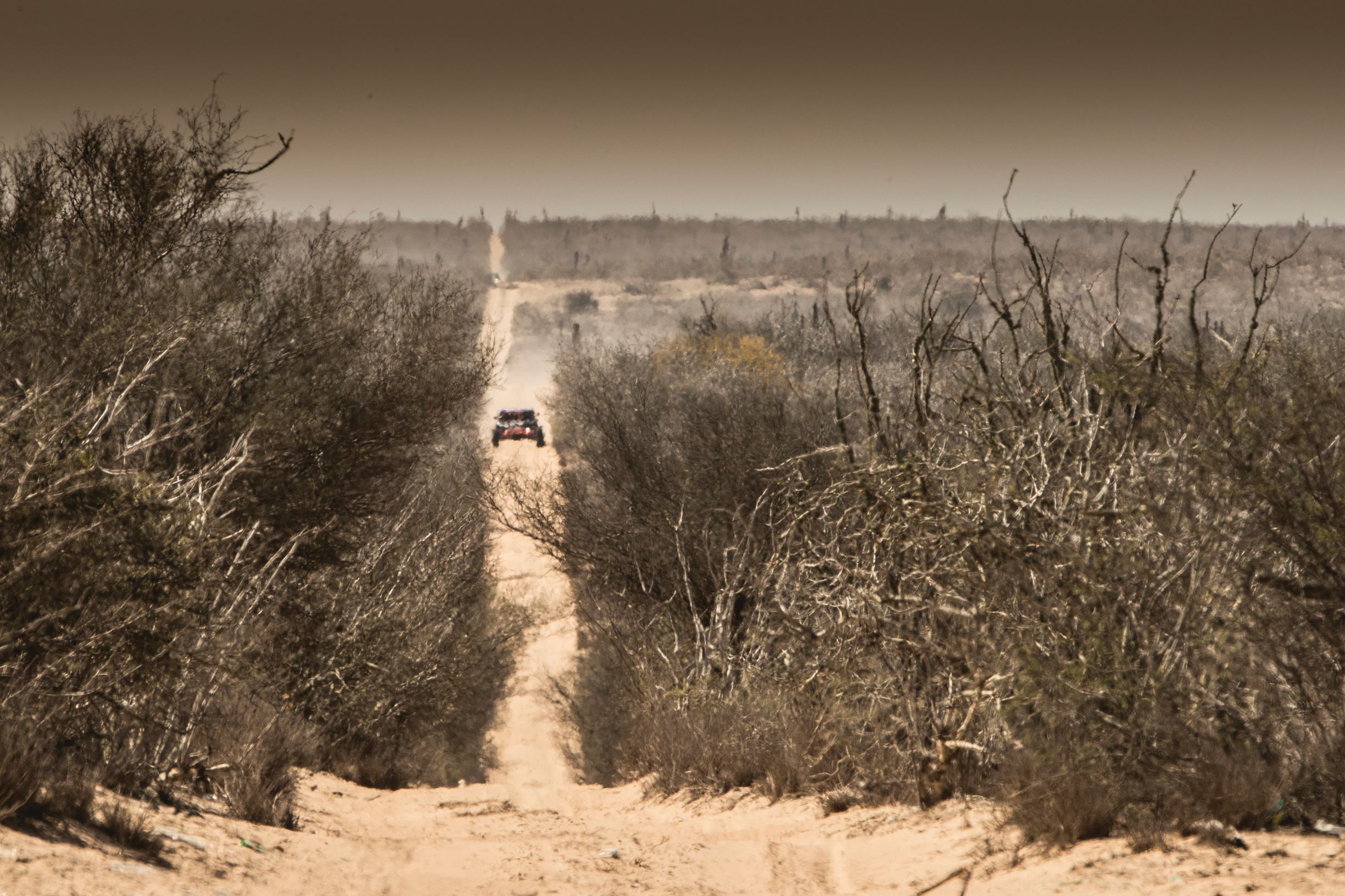 Wide Open Baja (4)