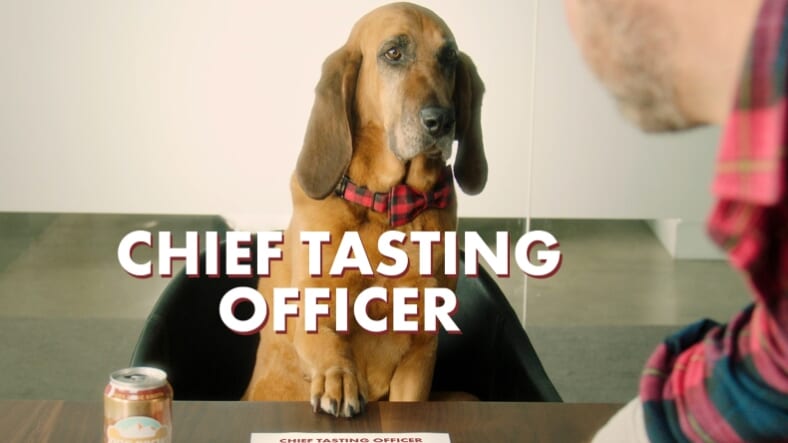 Busch Dog Brew Chief Tasting Officer Promo