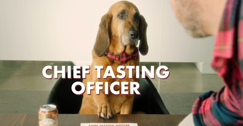 Busch Dog Brew Chief Tasting Officer Promo
