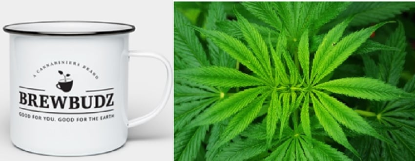 coffee-weed.jpg Weed and Coffee BrewBudz