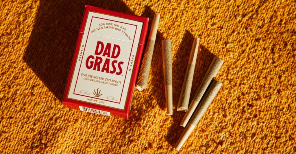 Dad Grass Promo