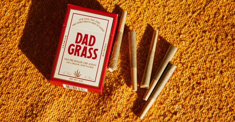Dad Grass Promo