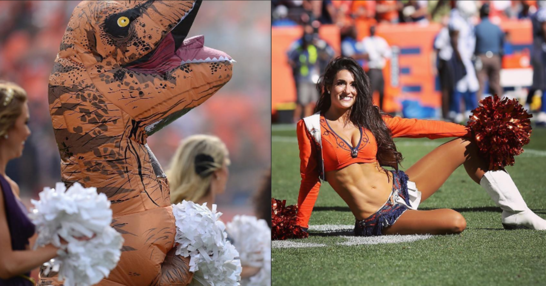 The Denver Broncos Cheerleader Who Dressed Up as a T-Rex Is 