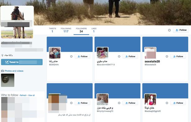 Hackers Are Spamming Isis Twitter Accounts With Lots And Lots Of Porn 3098