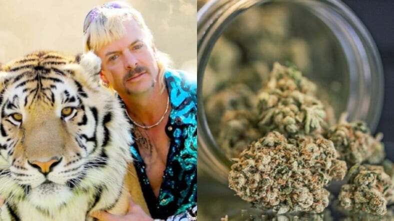 Joe Exotic marijuana promo