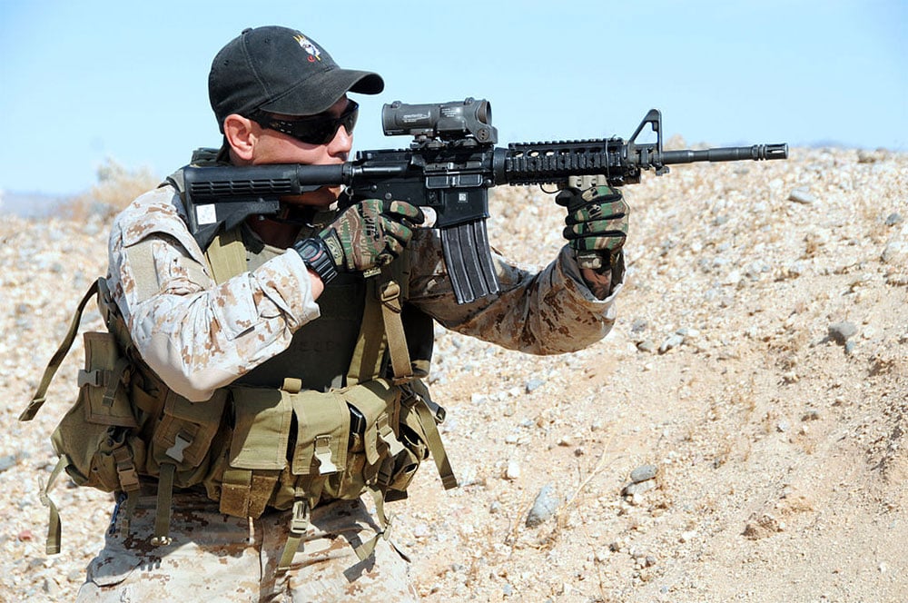 Navy Seal in the desert (Photo: Wikimedia)