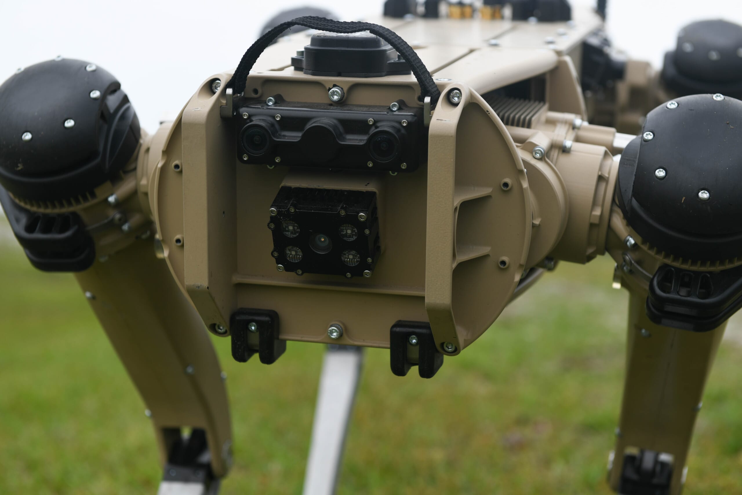 Quad-legged Unmanned Ground Vehicles (2)