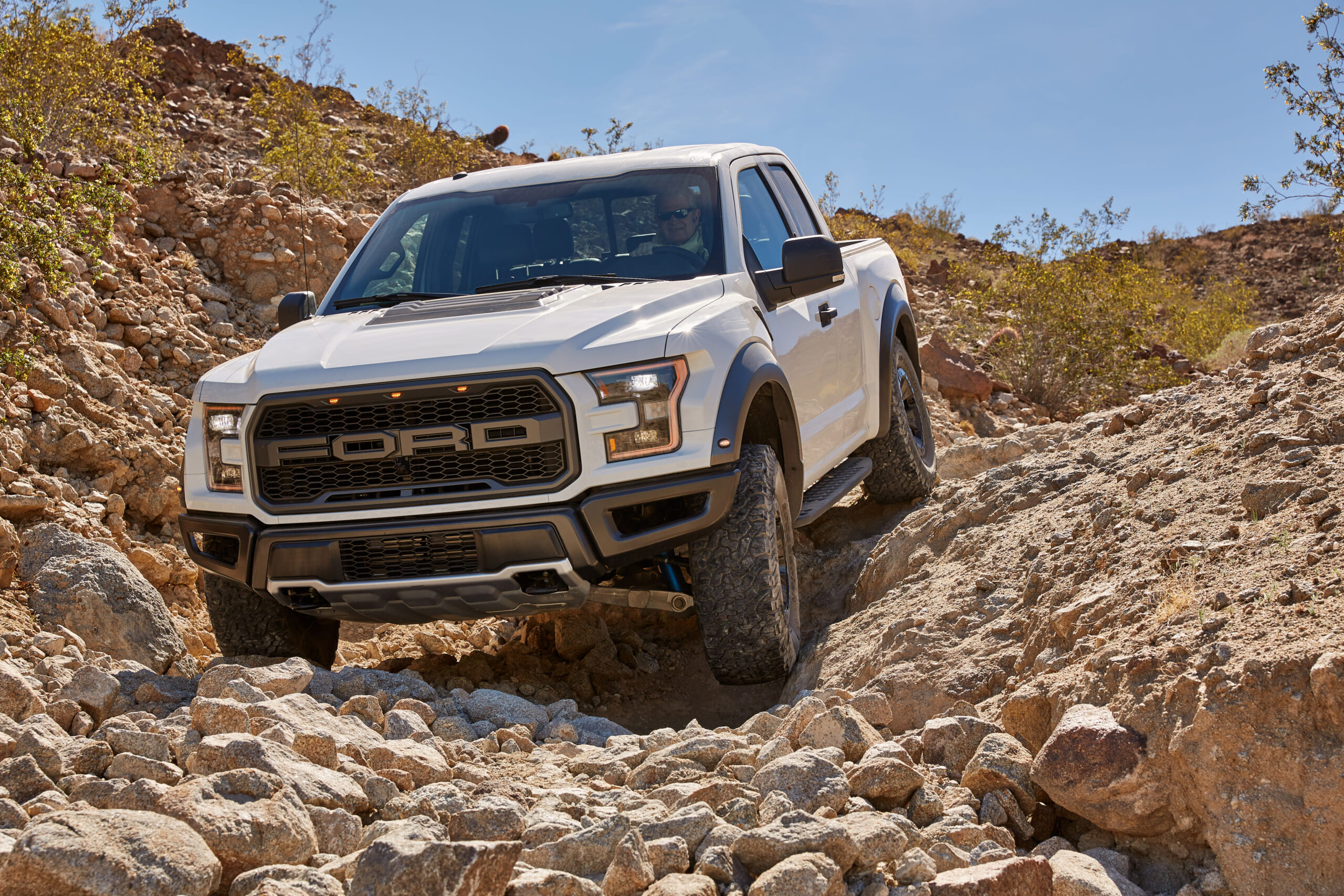 White_Raptor_084.jpg