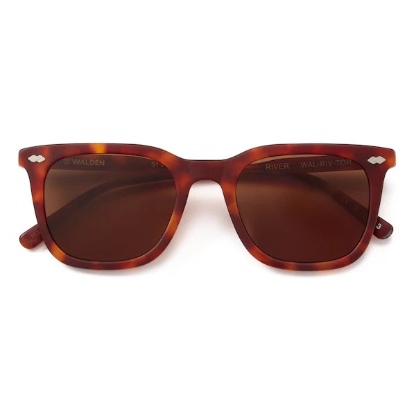 Walden Sunglasses The Best Sunglasses For Fall And Winter