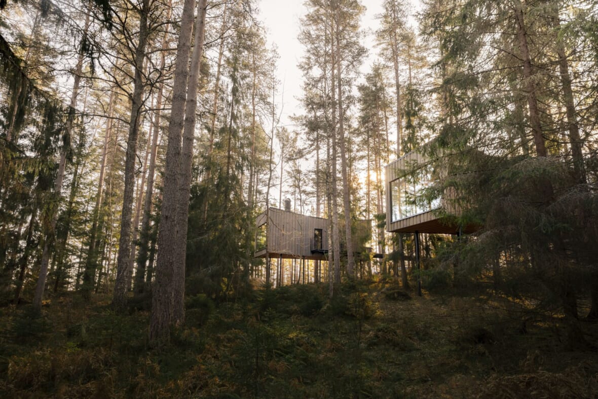 Trakt Forest Hotel 1A Sweden's Trakt Forest Hotel Is A Rustic Woodland Retreat