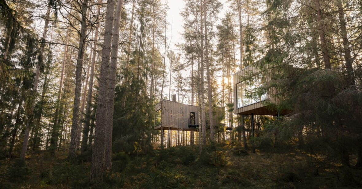 Trakt Forest Hotel Feature Sweden's Trakt Forest Hotel Is A Rustic Woodland Retreat