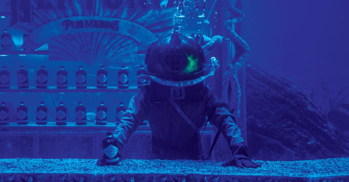 Underwater Adventure Experiences Promo