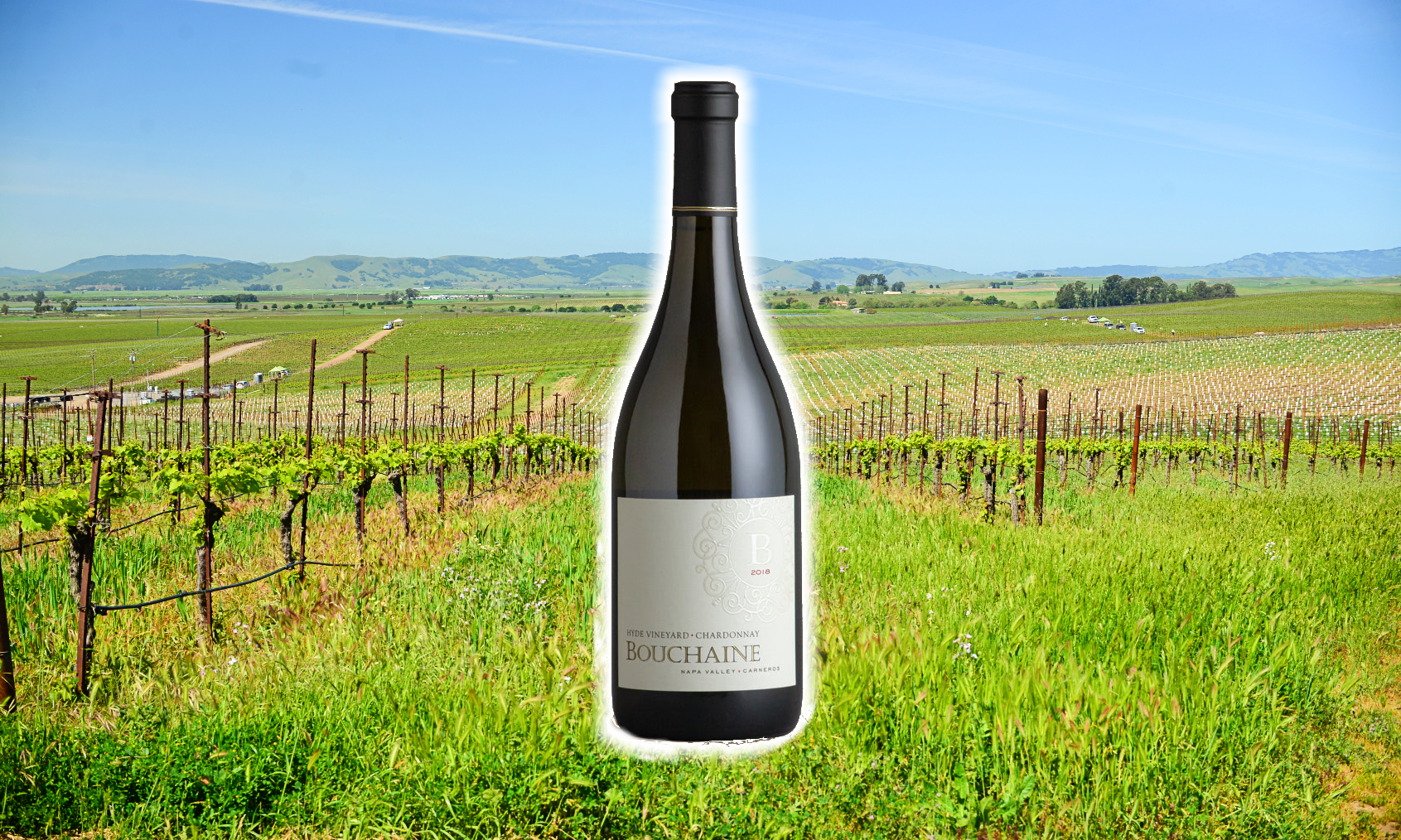 Bouchaine Wine Of The Week: Bouchaine Hyde Vineyards Chardonnay