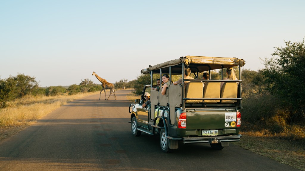 tip for safari guide south africa