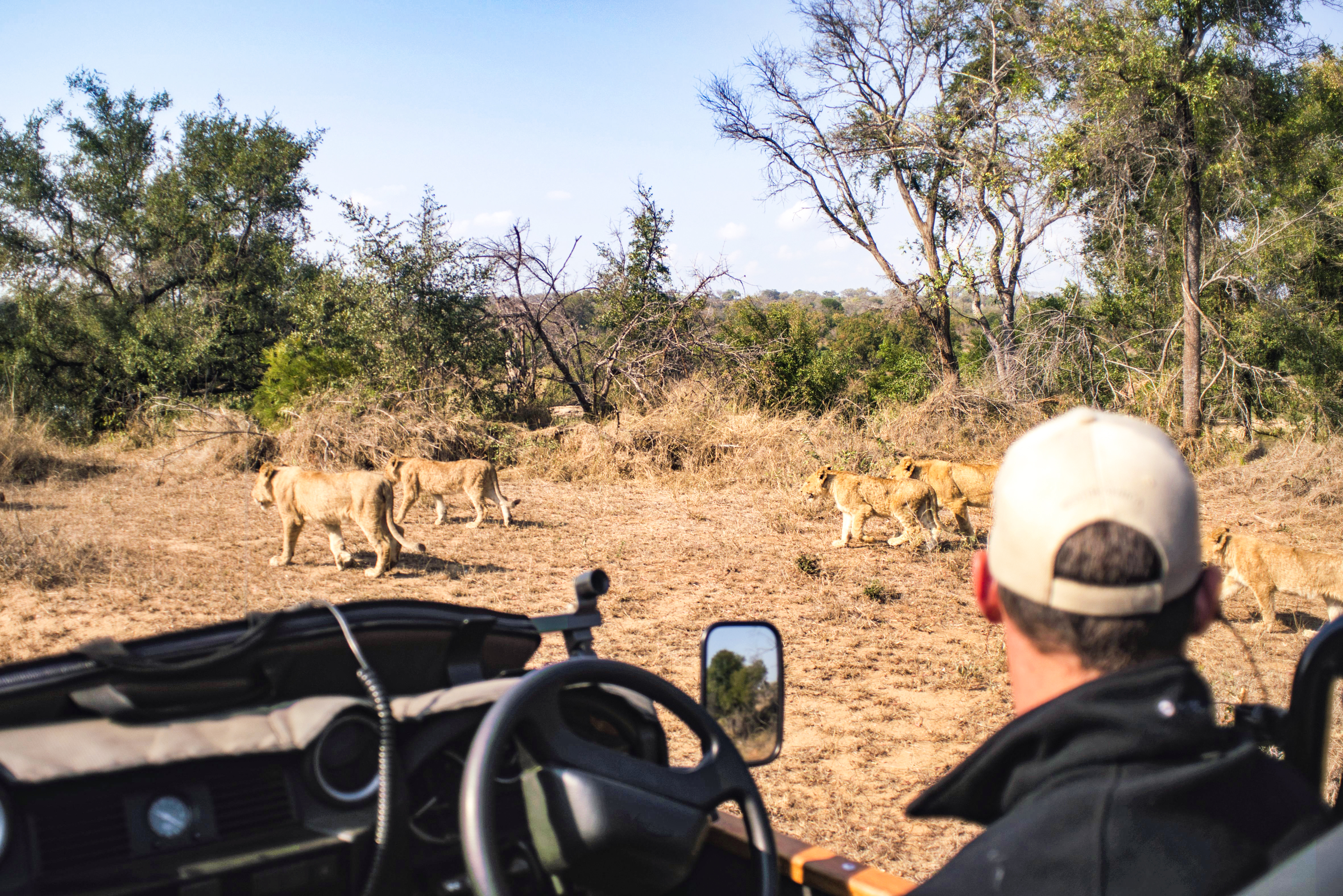 tip for safari guide south africa