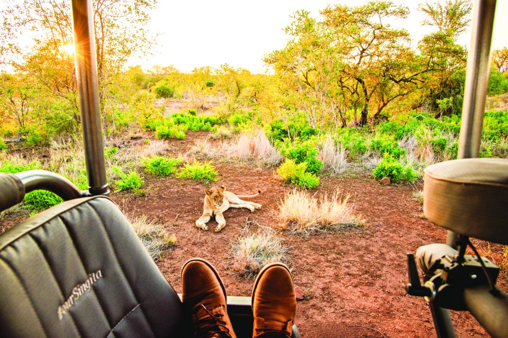 tip for safari guide south africa