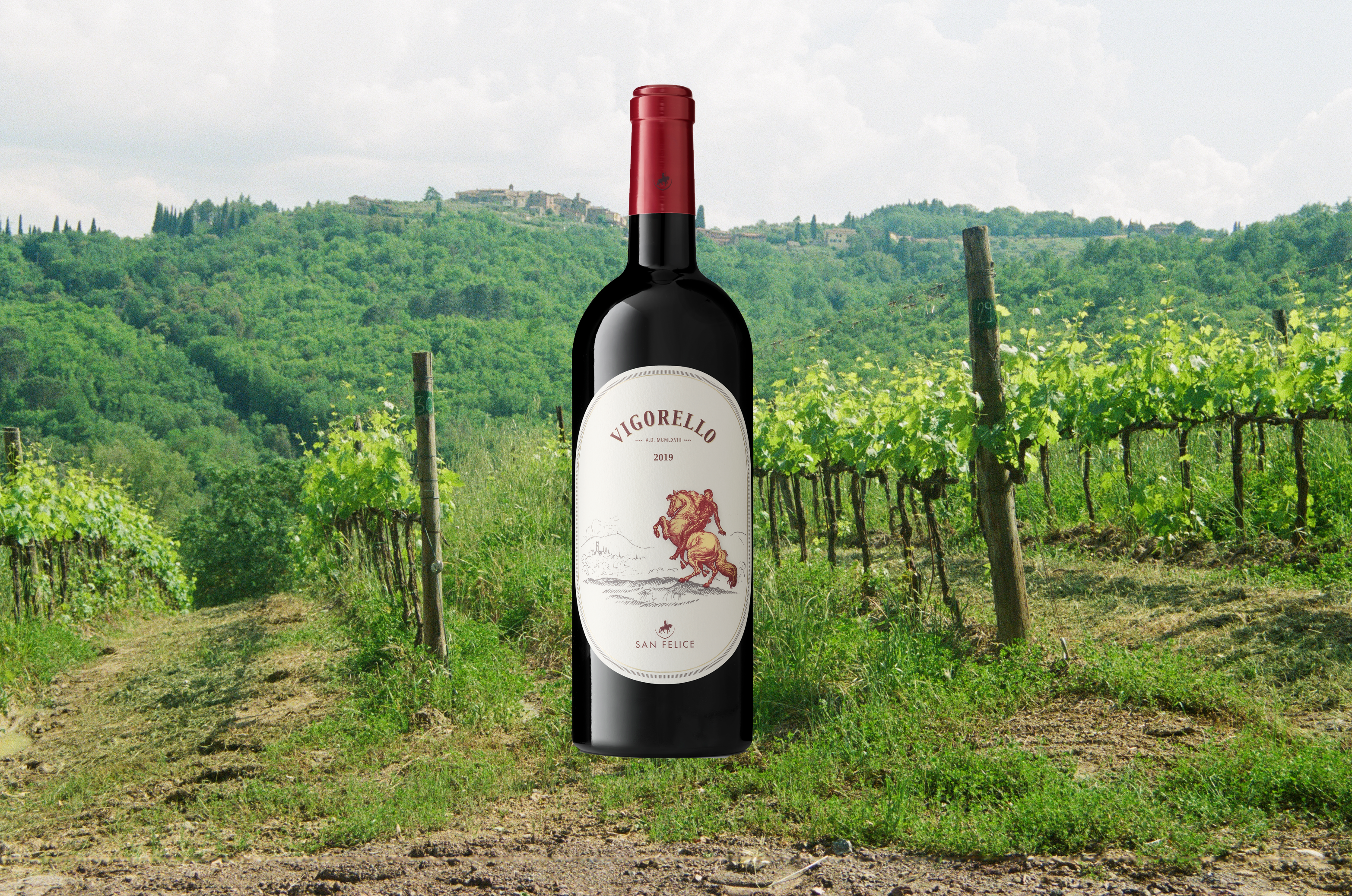 Wine Of the Week: San Felice Vigorello 2019
