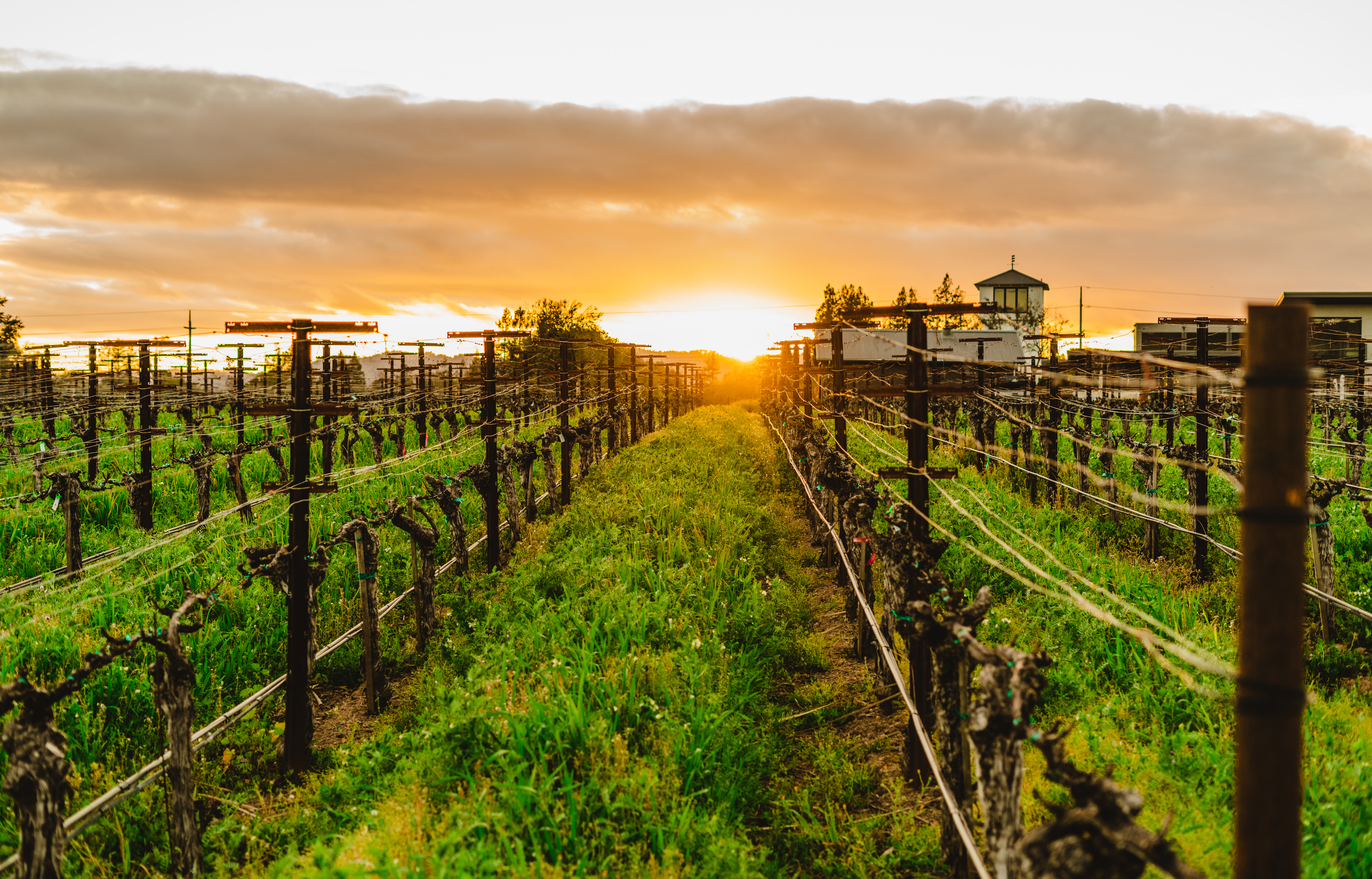 champagne tour napa