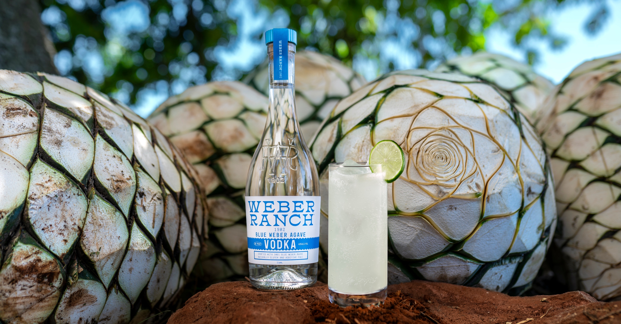 A New Vodka From Patron’s Founders Is Distilled Entirely From Blue Agave