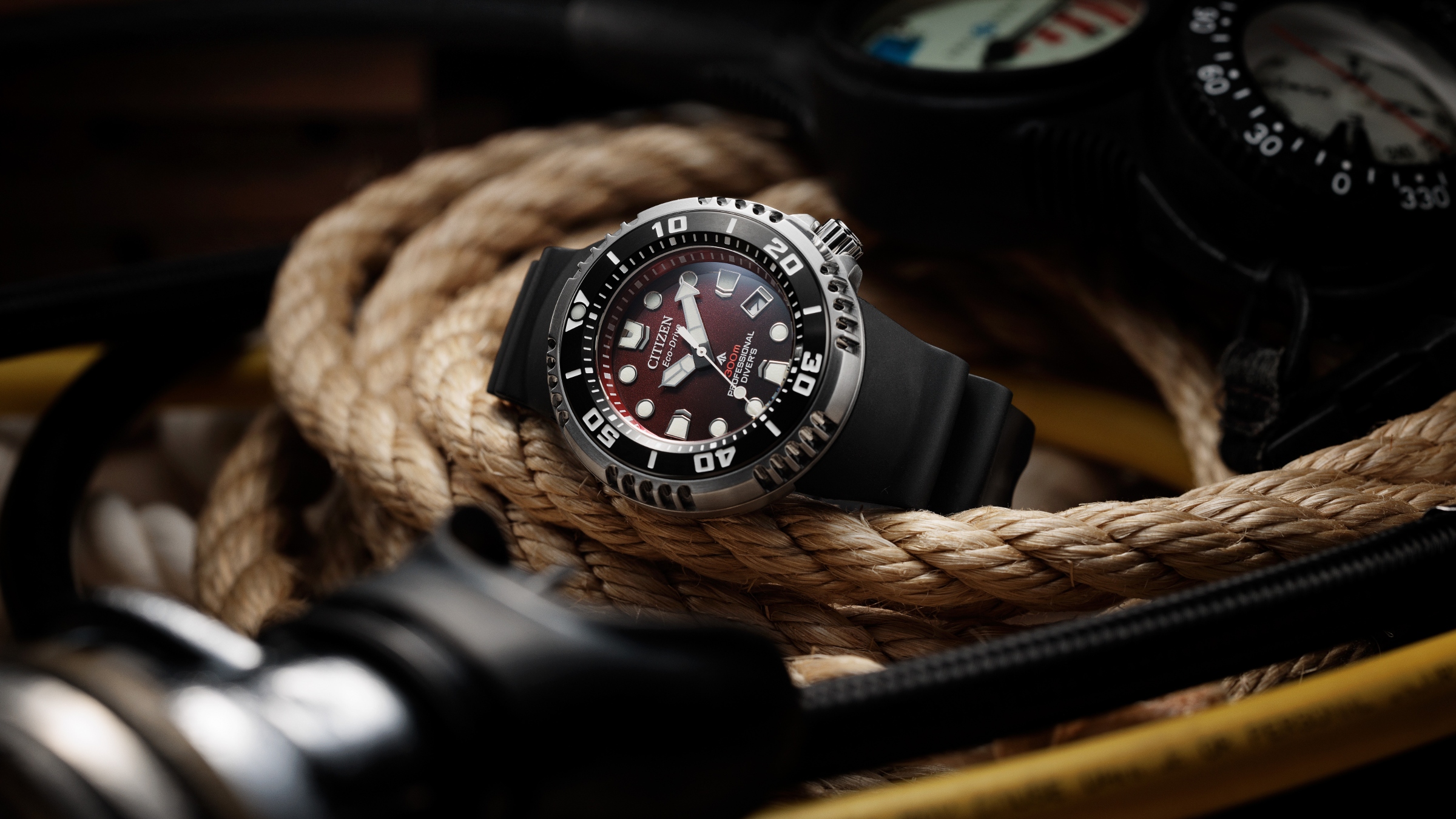 Citizen's Promaster Eco-Drive Watch Runs For A Full Year On One