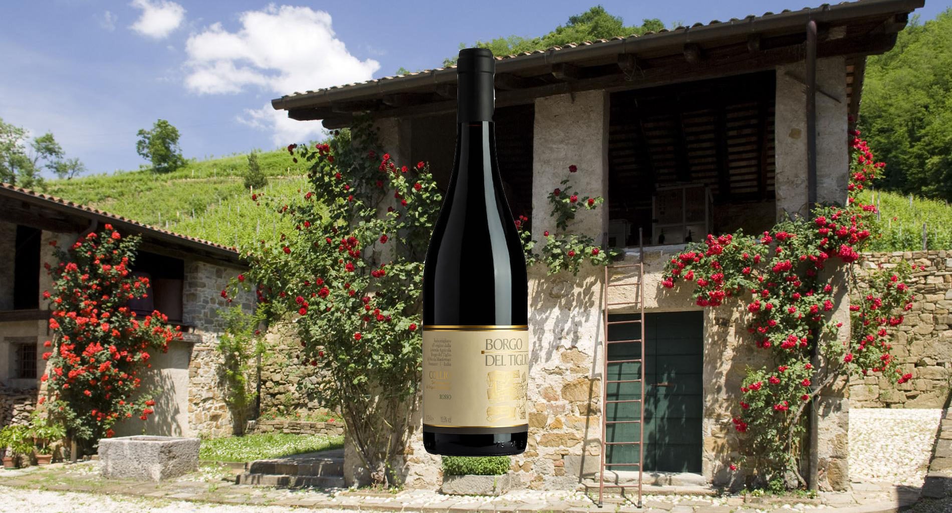 Wine Of The Week: Borgo Del Tiglio Rosso Riserva 2018